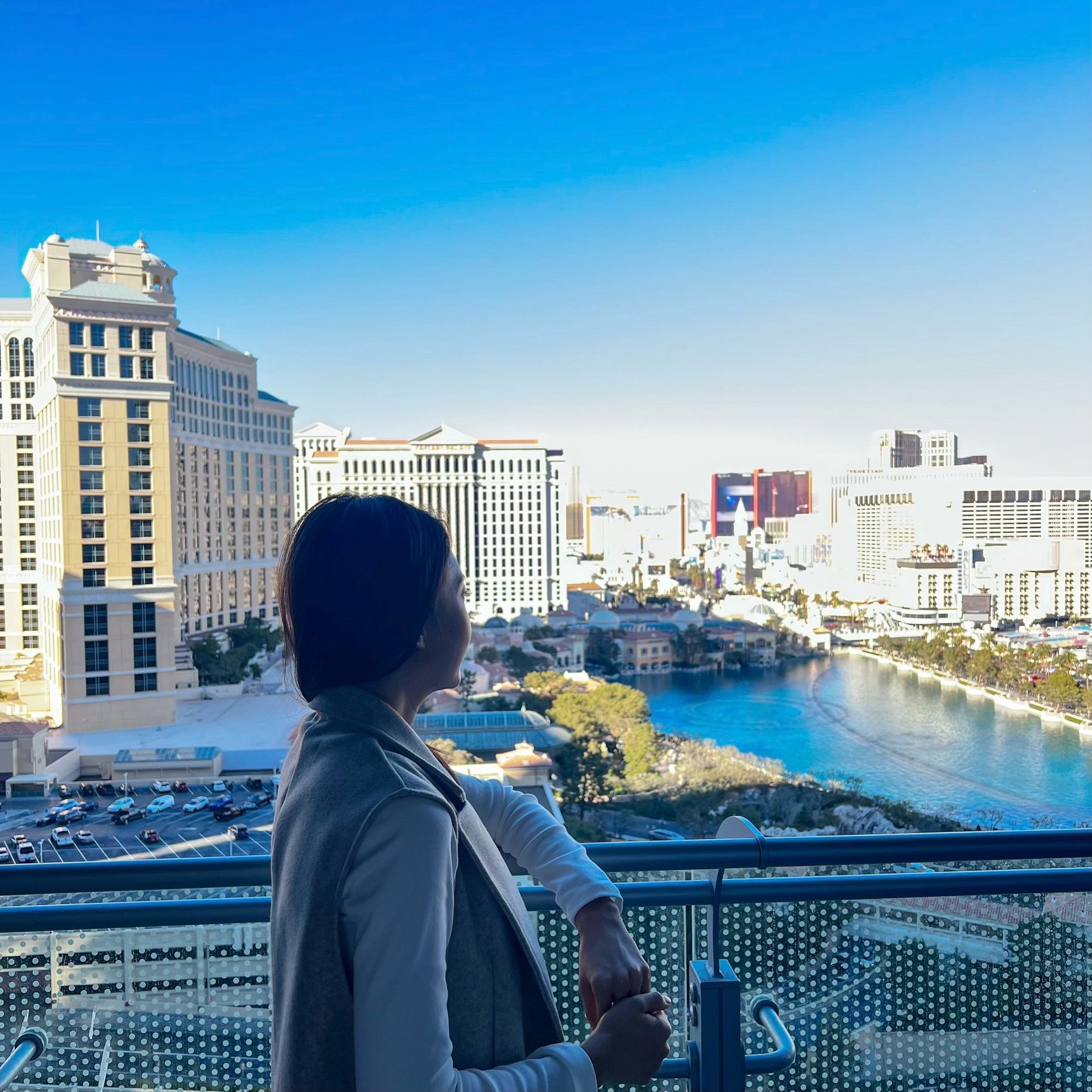 코스모폴리탄 라스베이거스 (The Cosmopolitan of Las Vegas) — 테라스 원 베드룸 스위트 분수 전망 후기